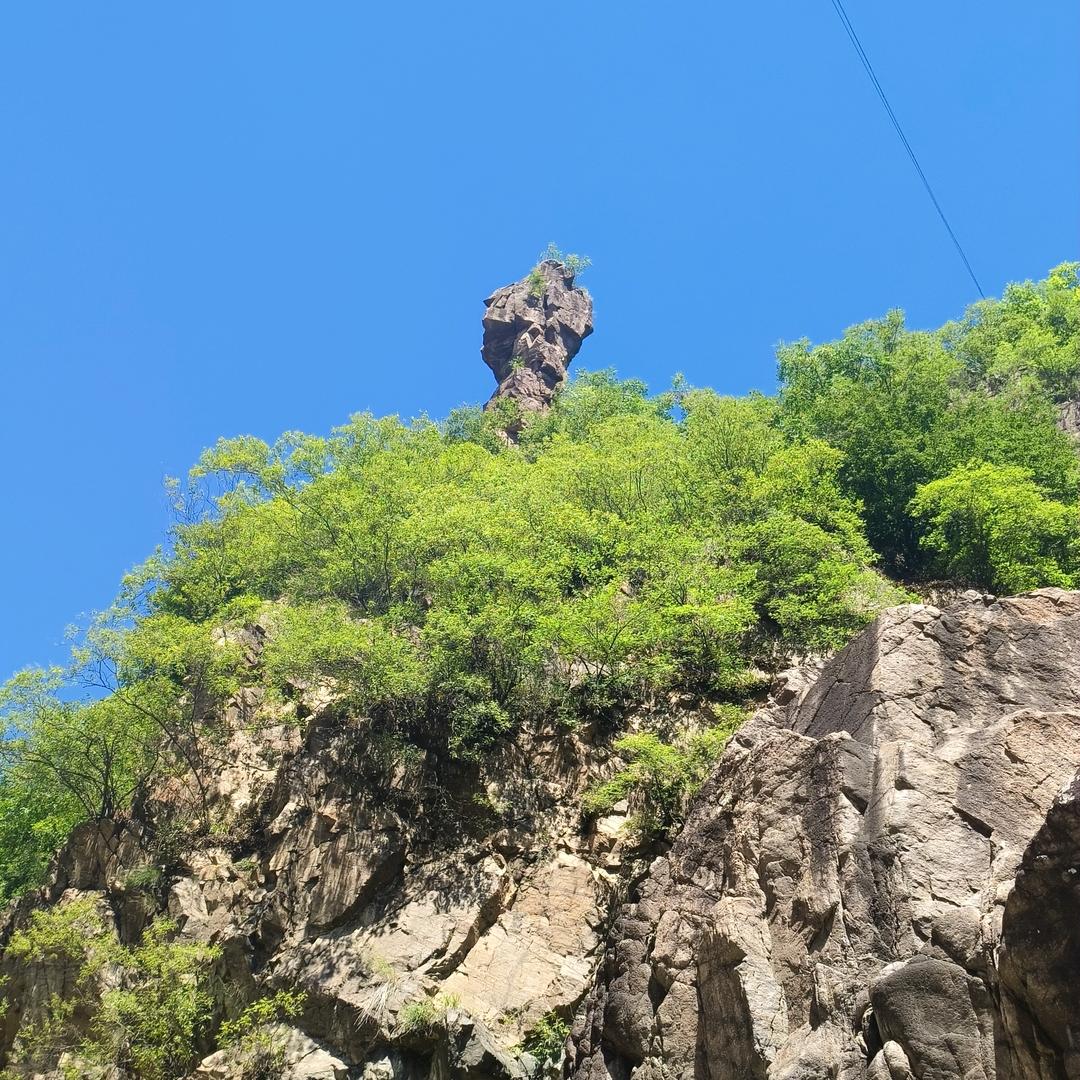 风一样自由