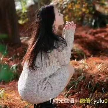 啊兰