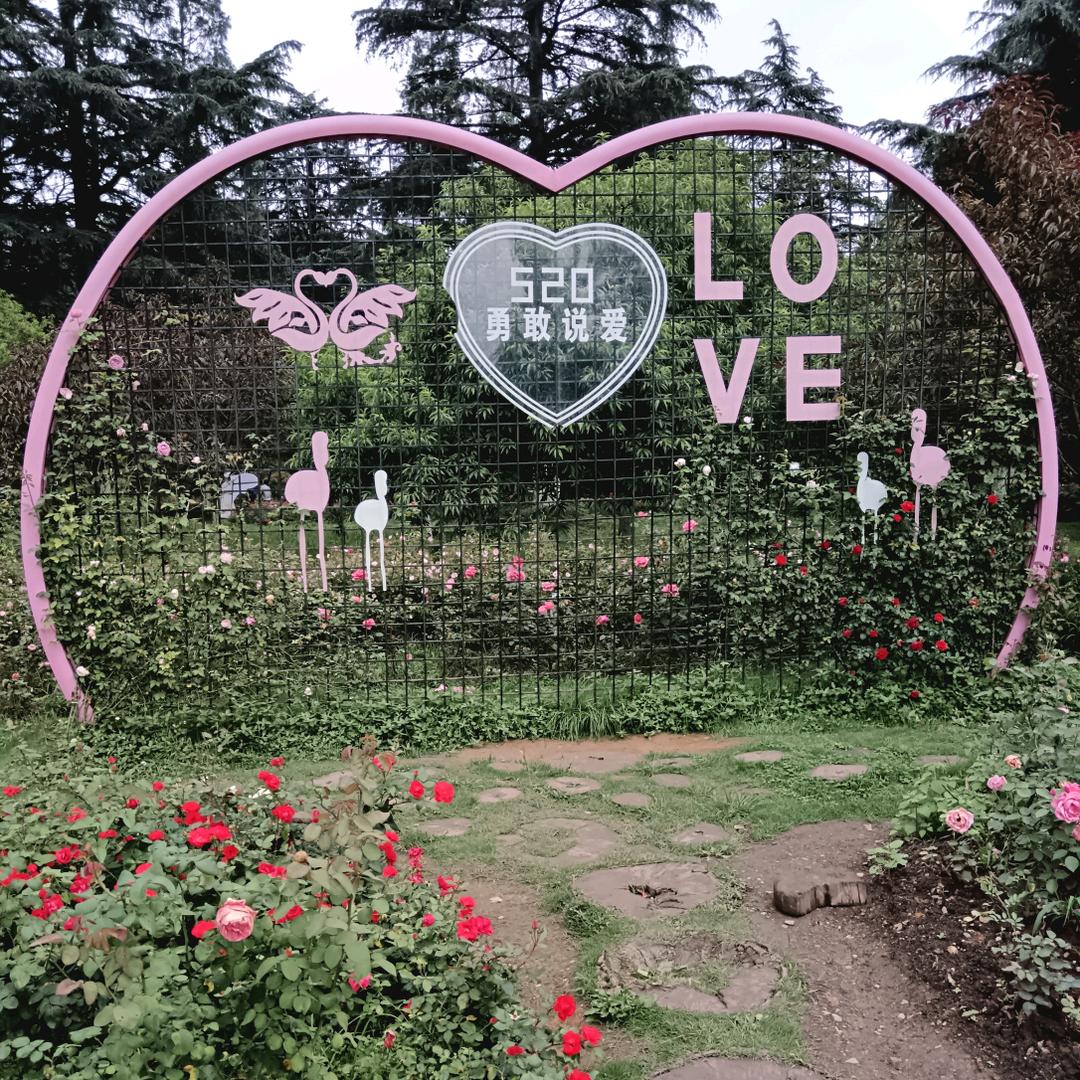 奔跑吧！兄弟！