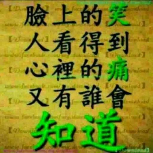 王文花