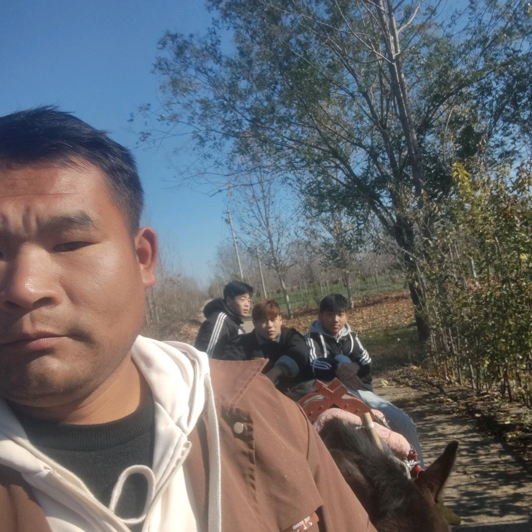 大明《园艺》