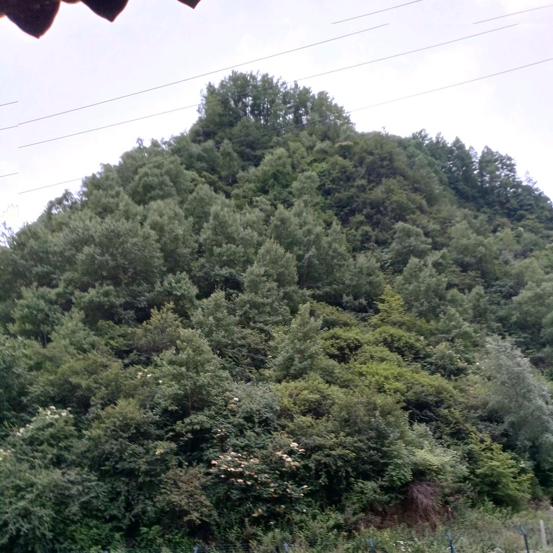 繁花街边孤身一人