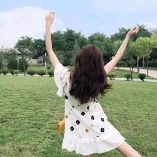 菊苣