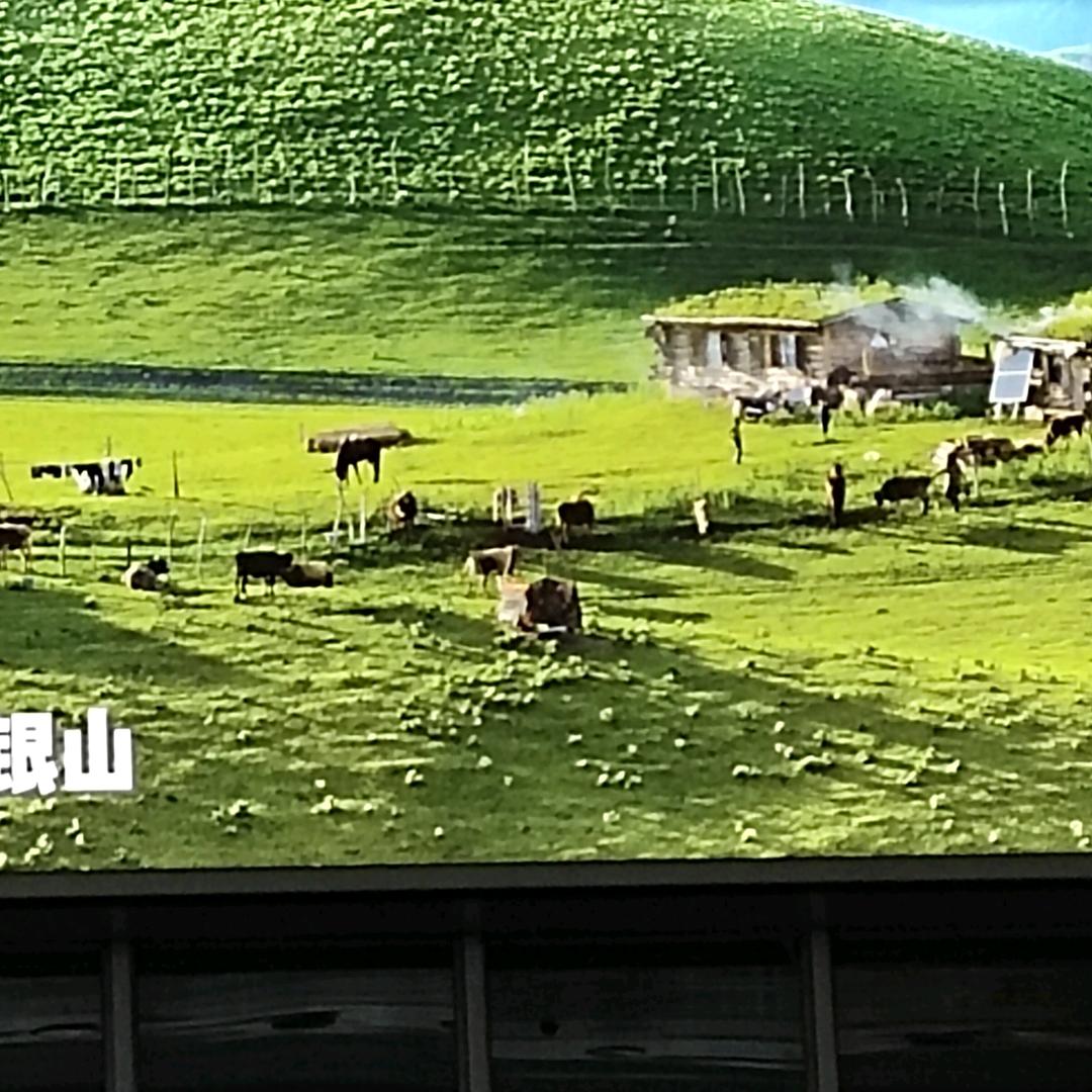 人生的路很难走