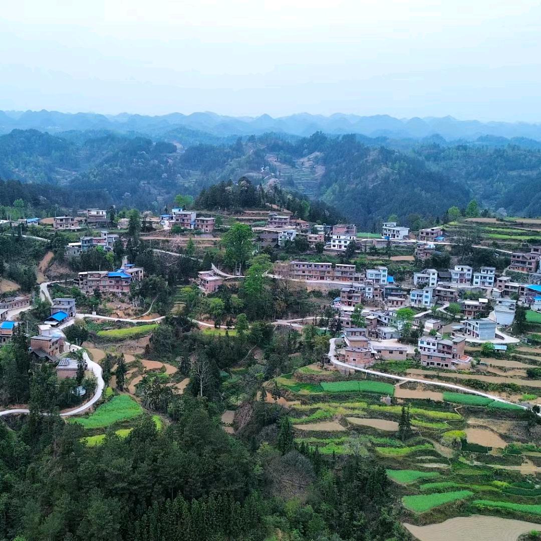 @真情永在@