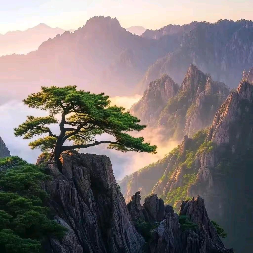 ꦿ᭄ོ山旮旯এ᭄ིྀ