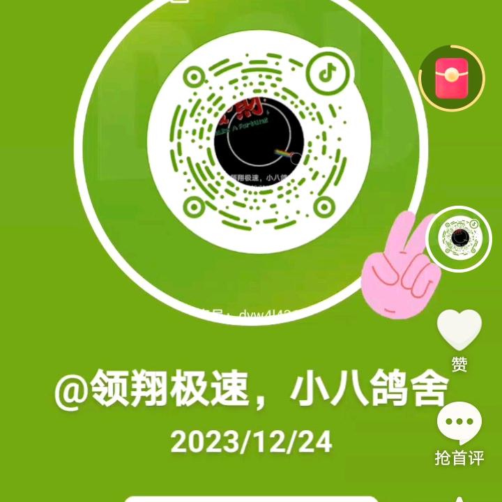 领翔极速，小八鸽舍