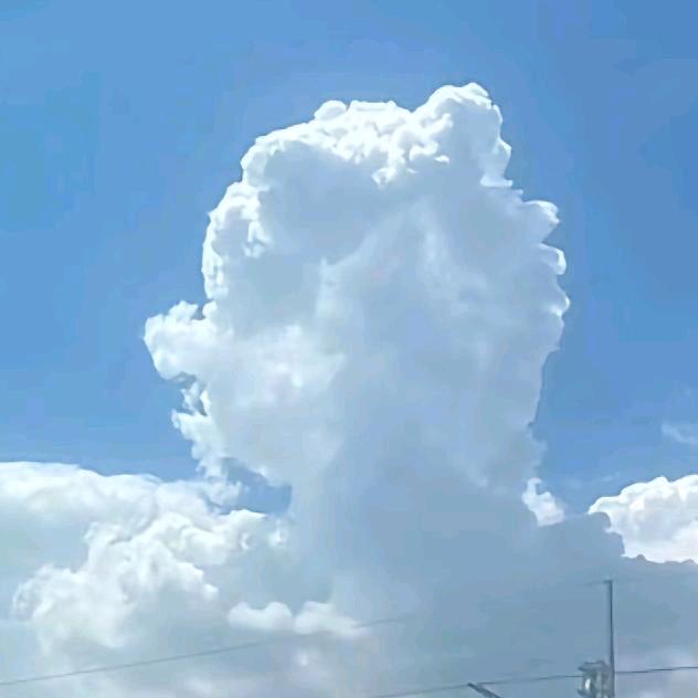 小林人