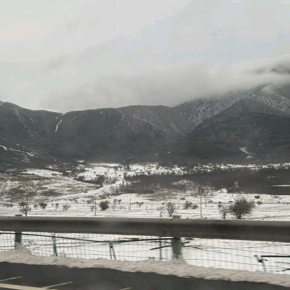 🧚‍♀️🧚‍♂️