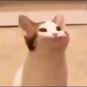 嗚啦啦啦啦