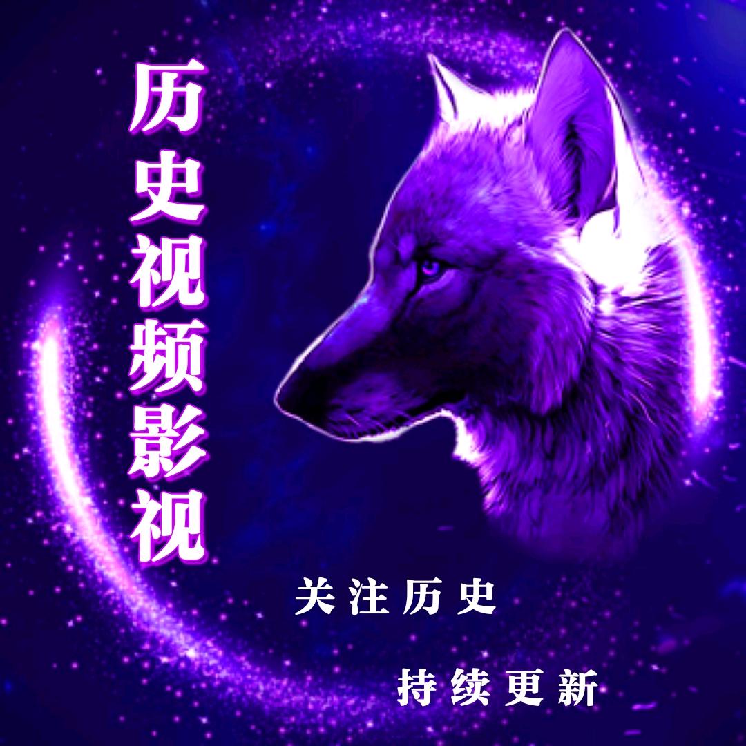 历史视频影视