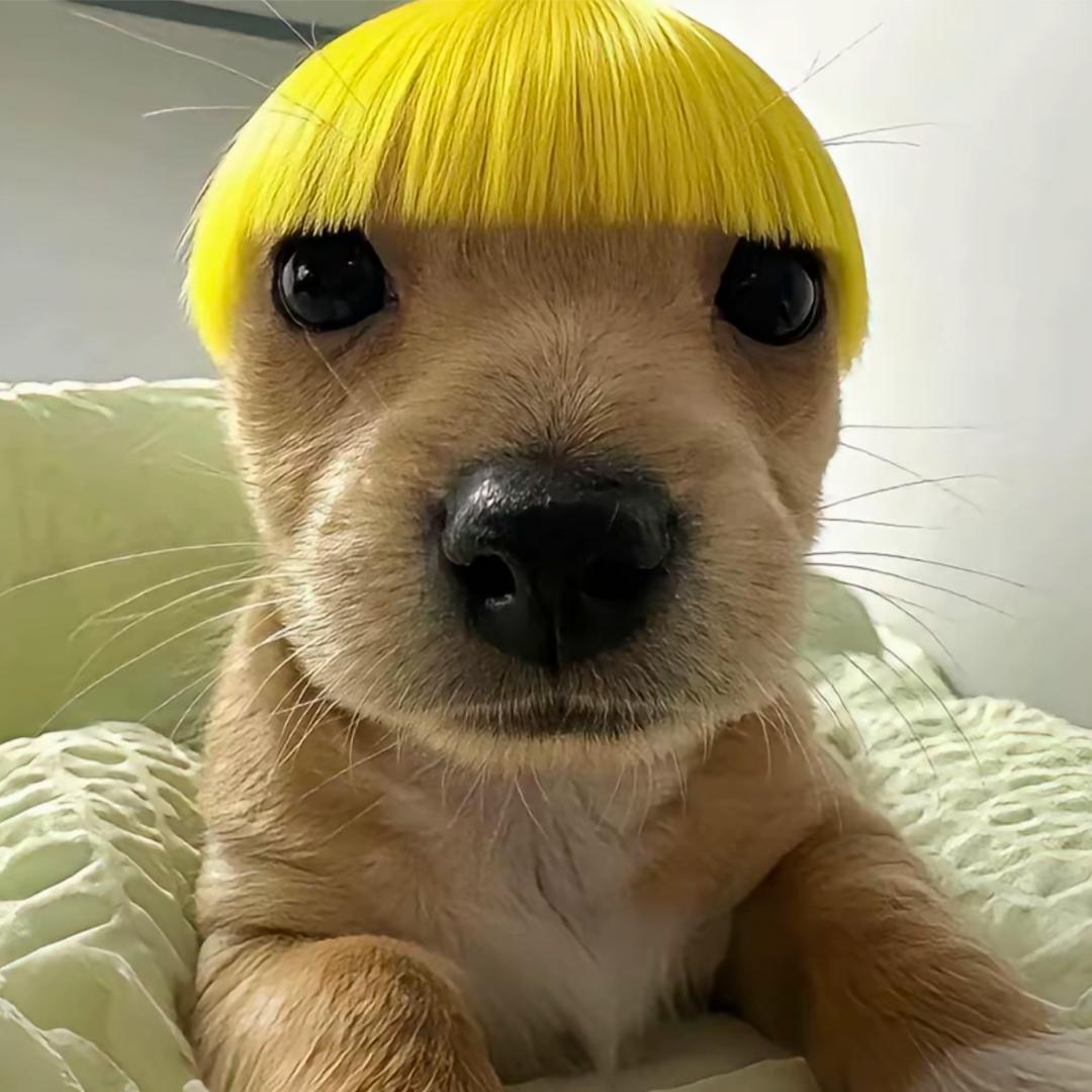 看淡人间百态