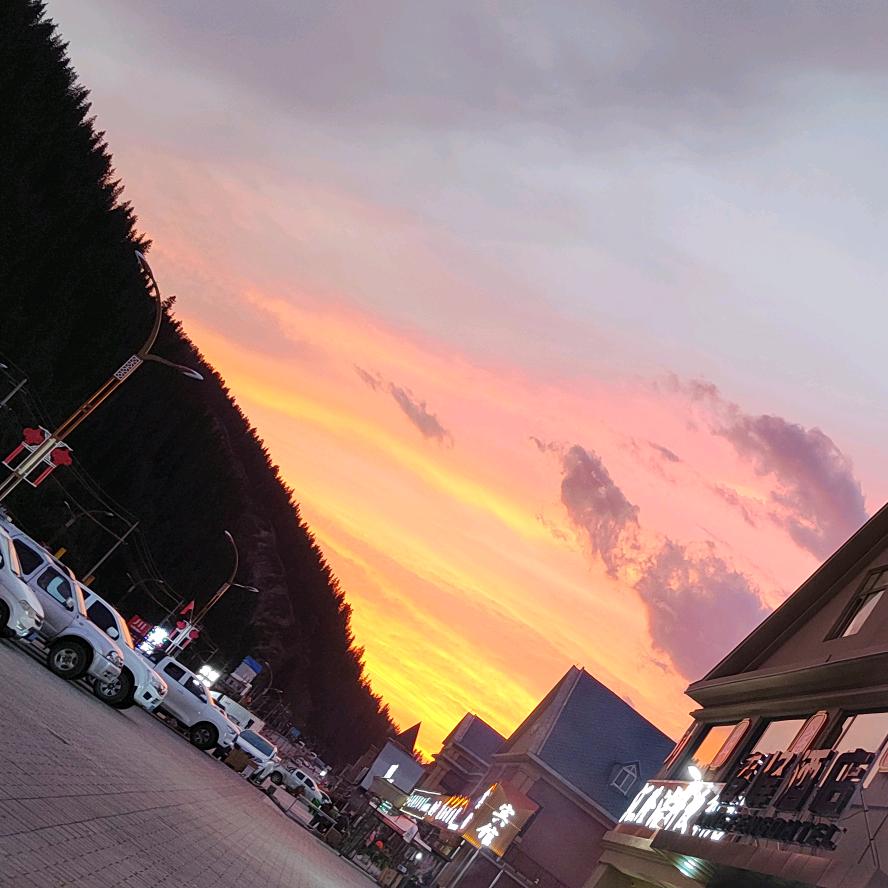 奇艺飞尚广告