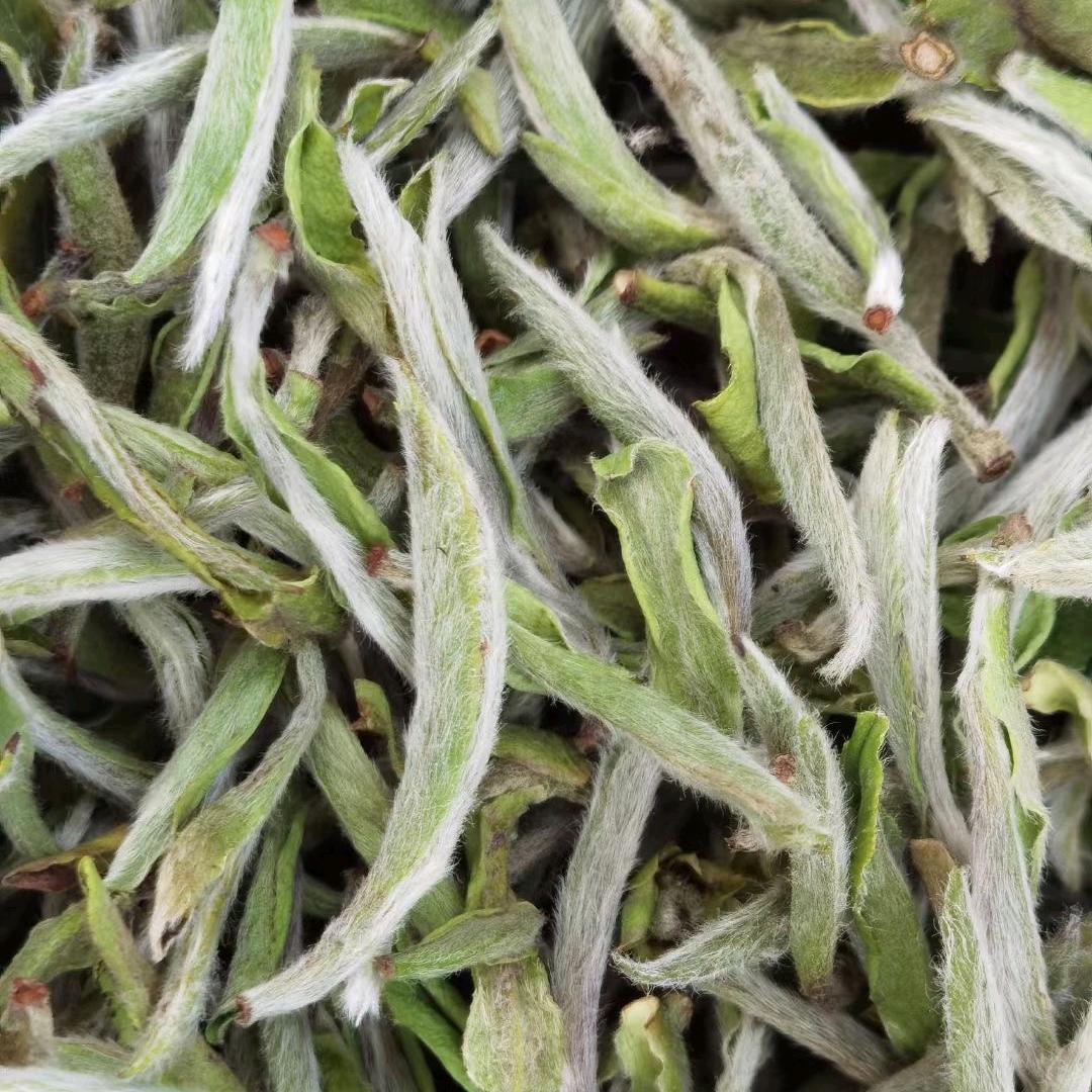 大晟茶仓