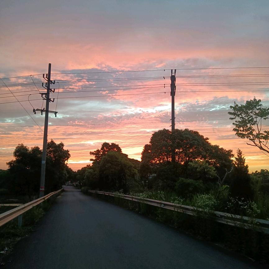 自强不息（玉米姐姐）