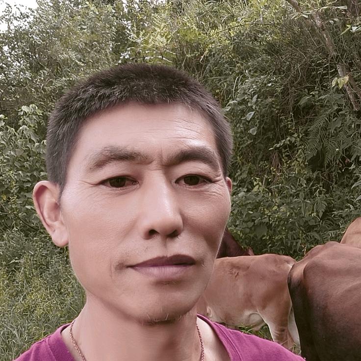 华哥好物分享