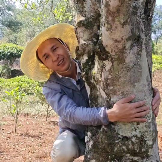 小李不懂茶
