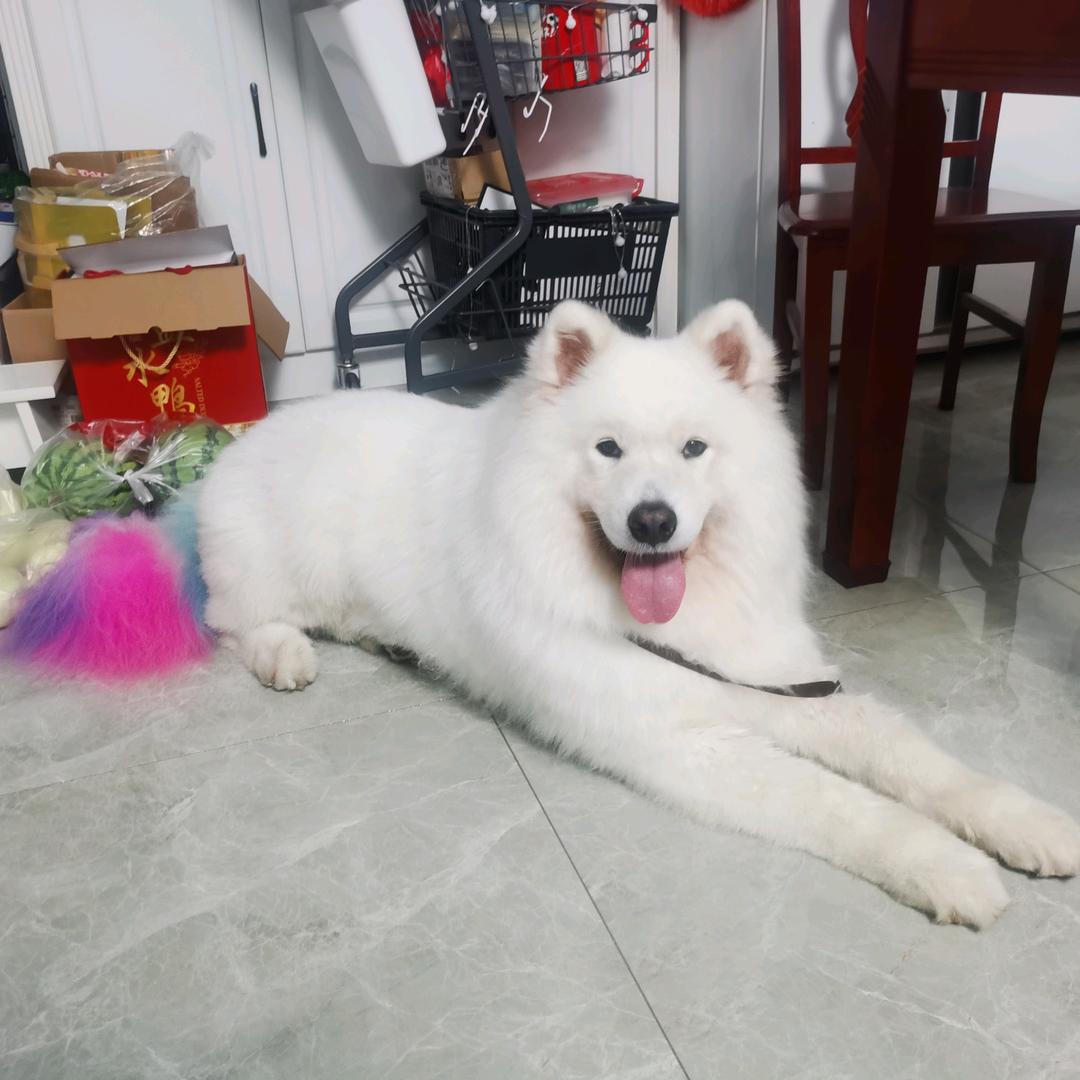 可乐（美团专送）