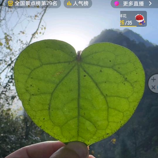 丫