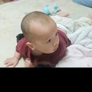 招财进宝飞黄腾达