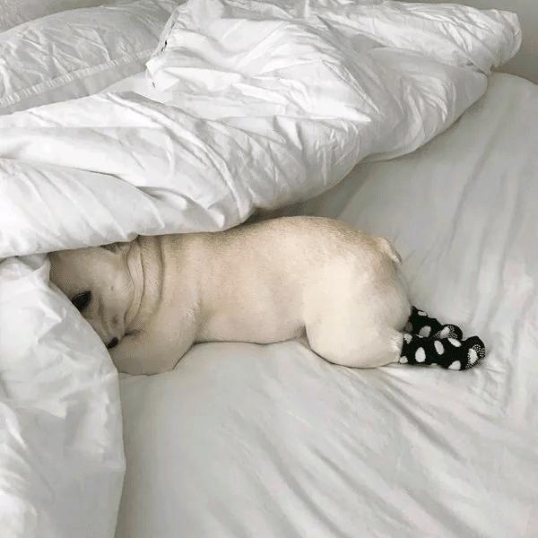 按时睡觉按时起