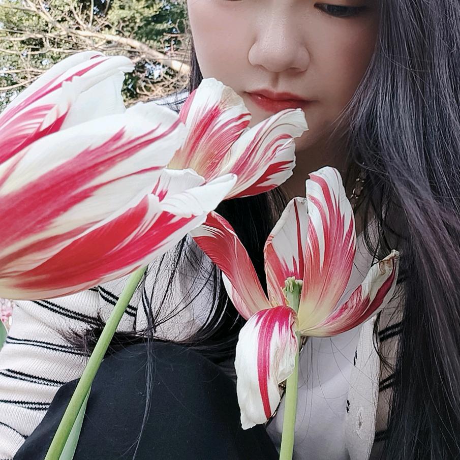 鲜榨陈汁儿