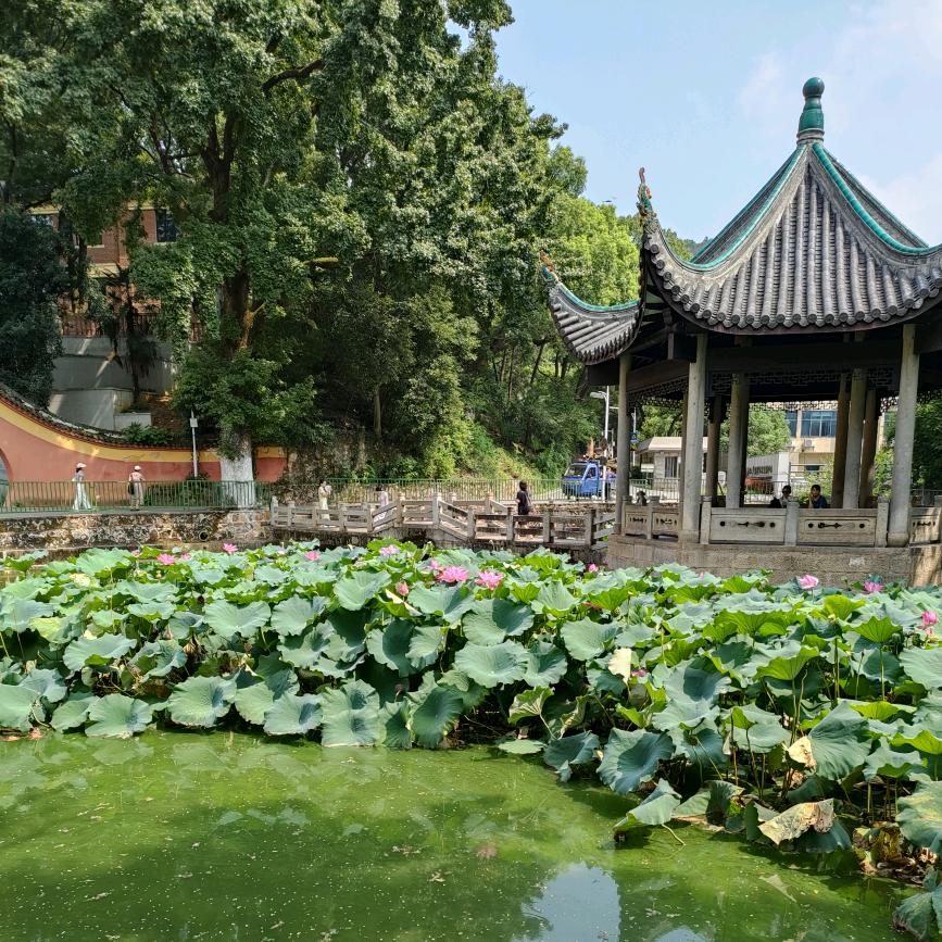 王倩制衣