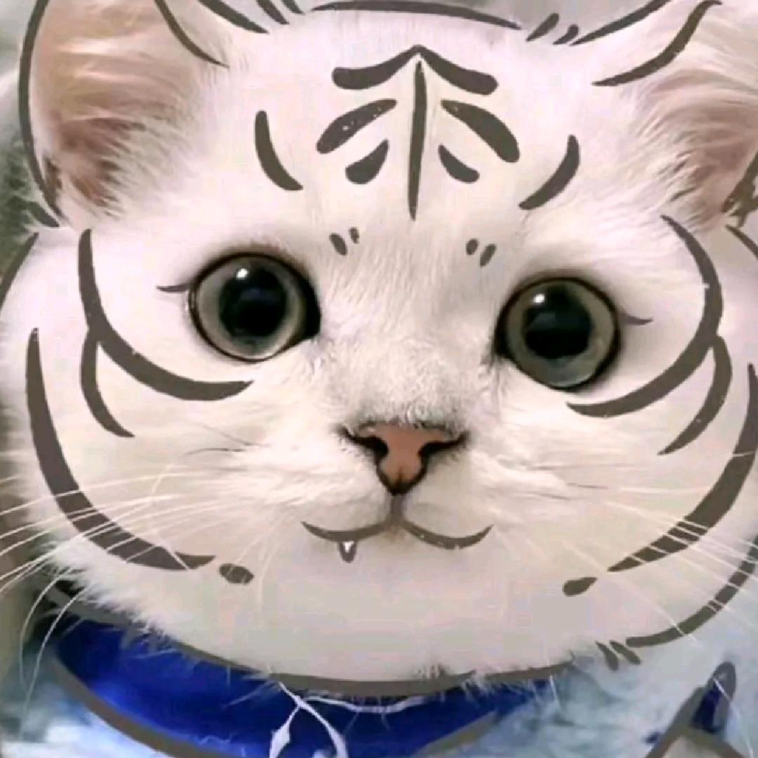 人肉包子🇨🇳☯️