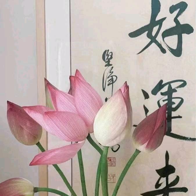 往日回忆
