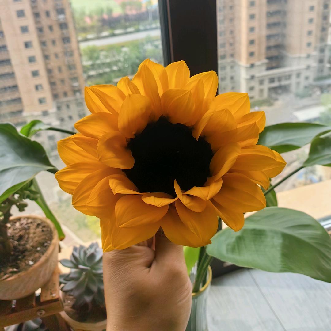 👉我家的杂货铺
