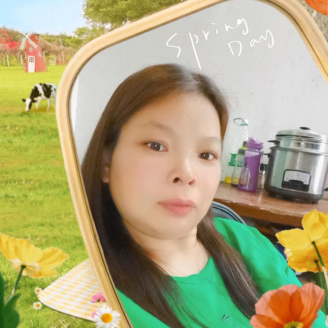 灿烂的阳光