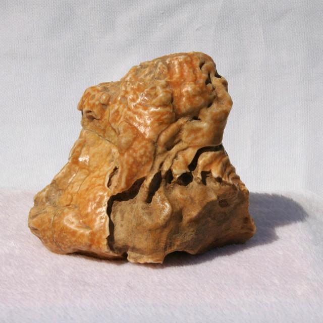 与石俱进