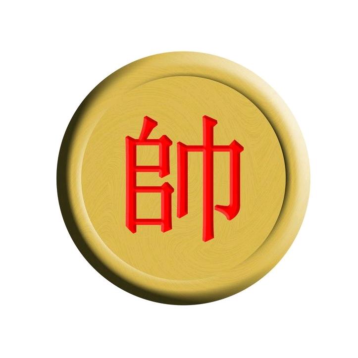 棋如人生