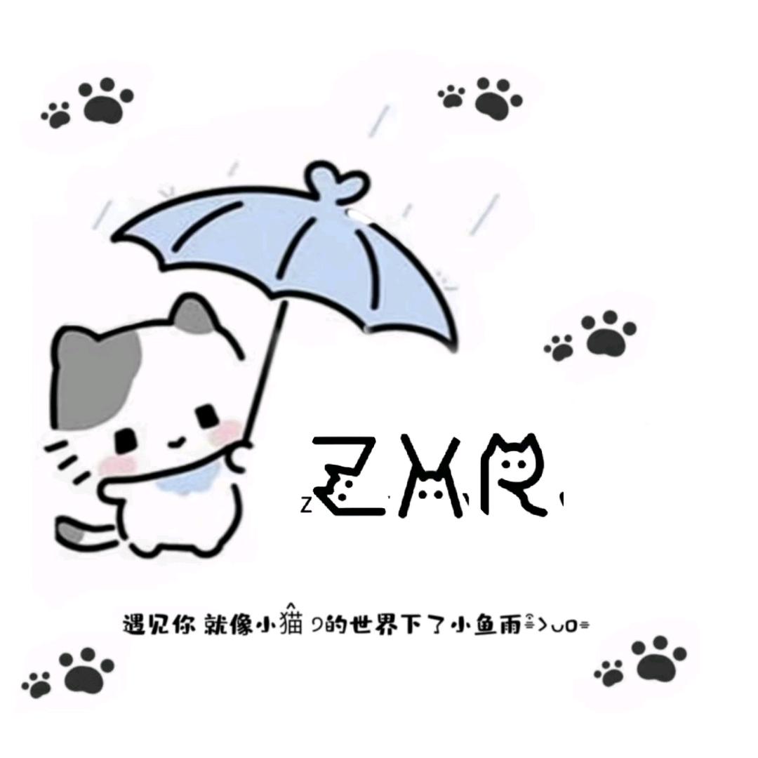篮球女孩 z