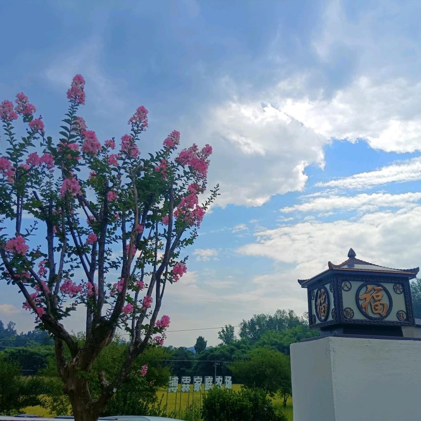 戒酒令