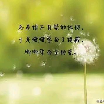 努力&坚强