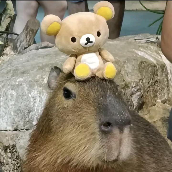 郭阿豪