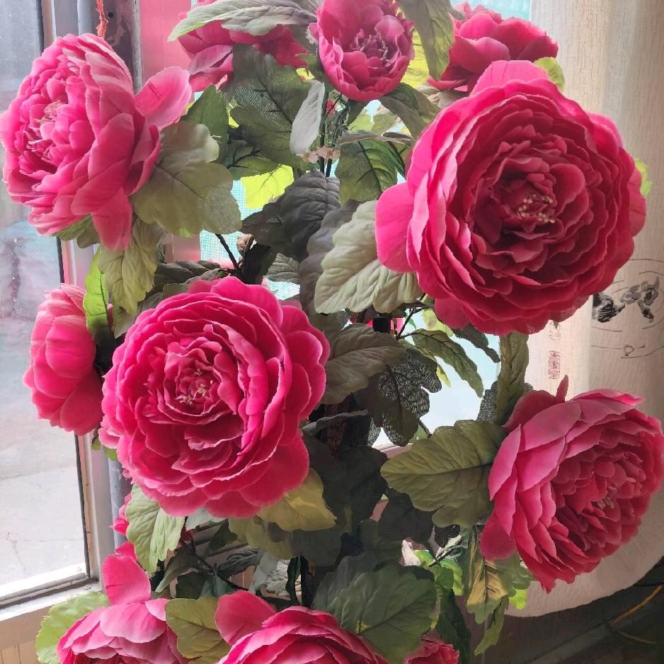 开心就好🌹🌹