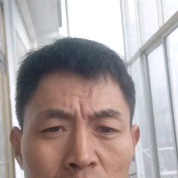 河南步哥