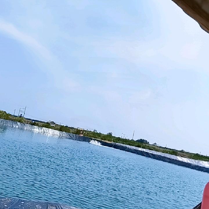抖趣