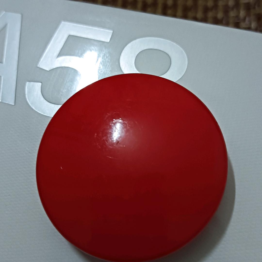 庄真