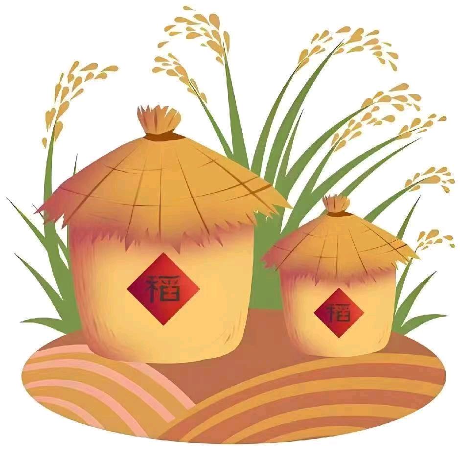 ‘空心菜’