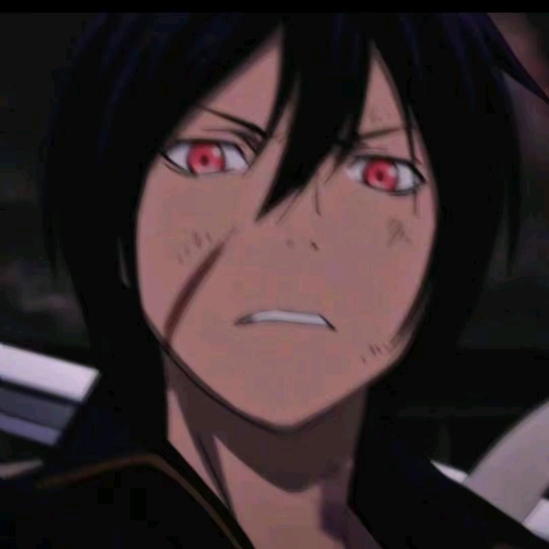 维也斯纳方程式