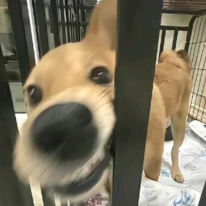 我们都是怪兽
