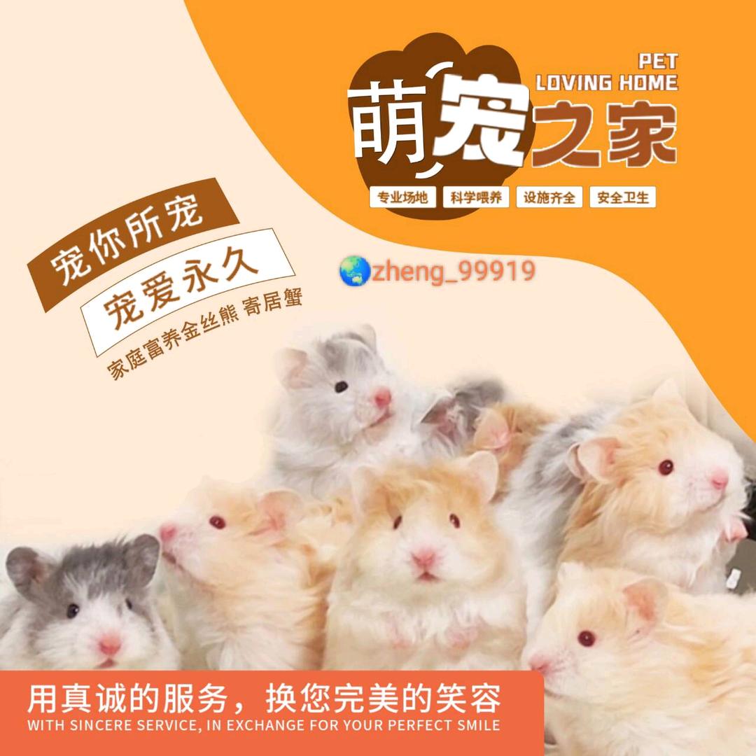 晴哥萌宠（出熊）
