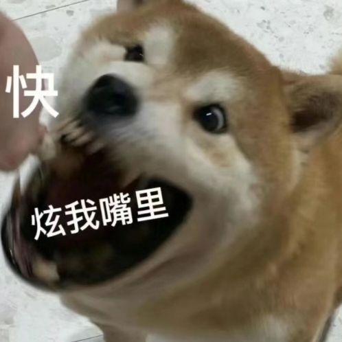 梦想出非洲之心