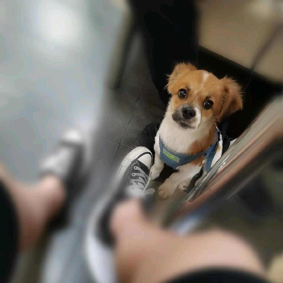 吖Bi(已婚霖乸仔)