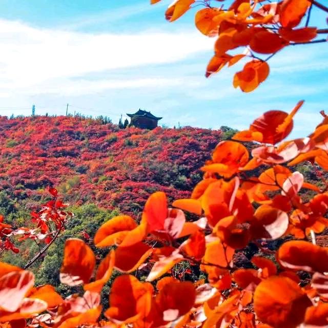 花魁