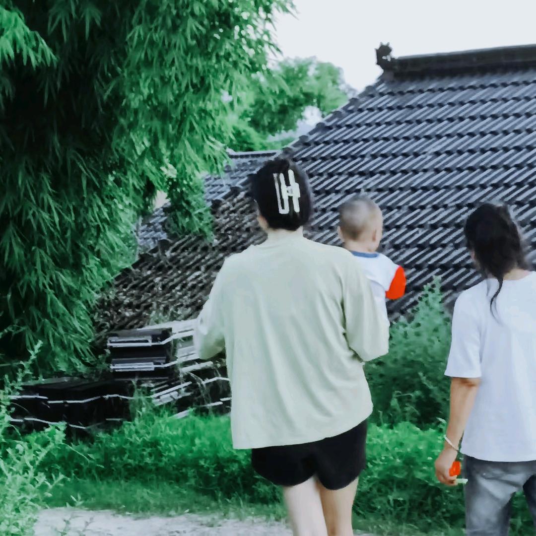 辰宝日记🌾