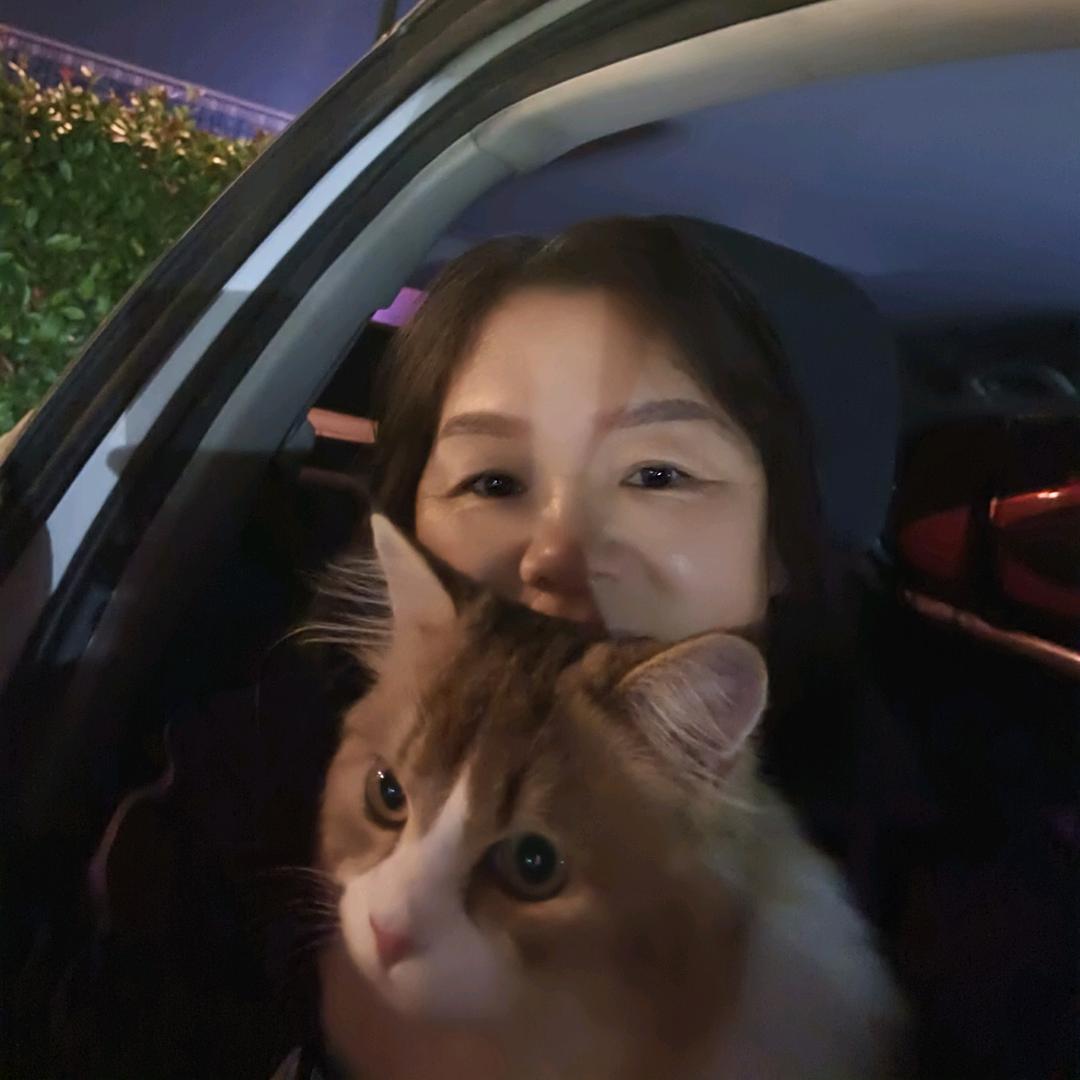 点点是只小三花